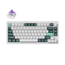 Keychron Q1 HE QMK Wireless Mechanical Keyboard with Knob, 2.4 GHz/Bluetooth/Wired 75% Layout RGB Backlit Gateron Magnetic Switches